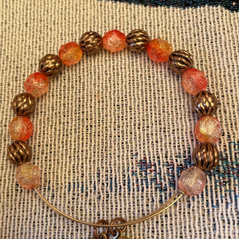 Alex & Ani Vintage View 3